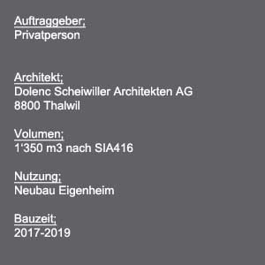 Neubau Waldhaus nähe Zürich // 2019